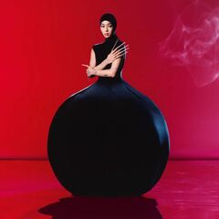 Hold The Girl (CD)