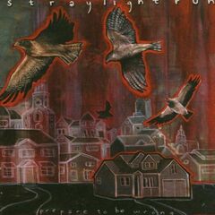 Prepare To Be Wrong (CD)