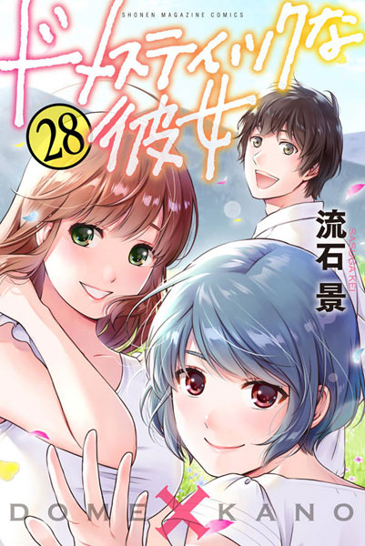 Domestic na Kanojo (28) (BOOK)
