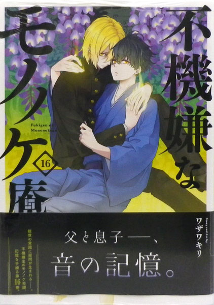 Fukigen na Mononokean (16) (BOOK)