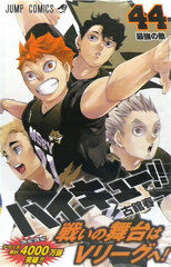Haikyuu!! 44 (BOOK)