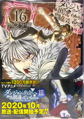 Is It Wrong to Try to Pick Up Girls in a Dungeon? Gaiden Sword Oratoria 16 (BOOK)