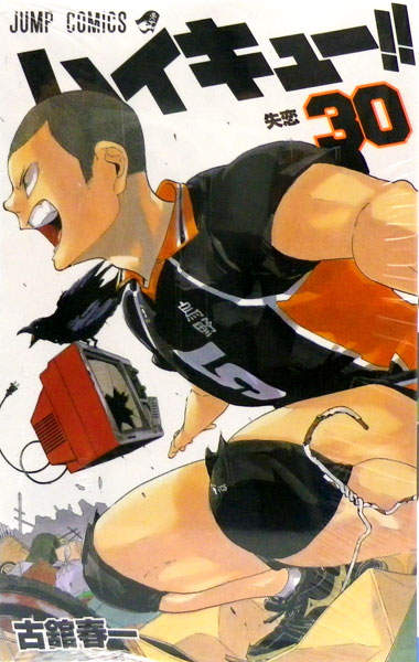 Haikyuu!! 30 (BOOK)