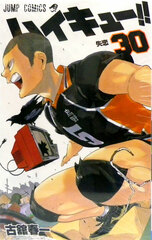 Haikyuu!! 30 (BOOK)