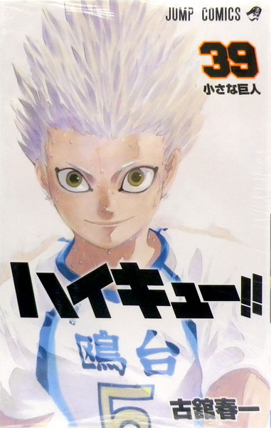 Haikyuu!! 39 (BOOK)