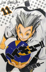 Haikyuu!! 11 (BOOK)