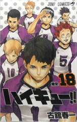 Haikyuu!! 18 (BOOK)