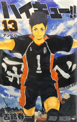 Haikyuu!! 13 (BOOK)