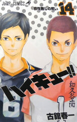 Haikyuu!! 14 (BOOK)