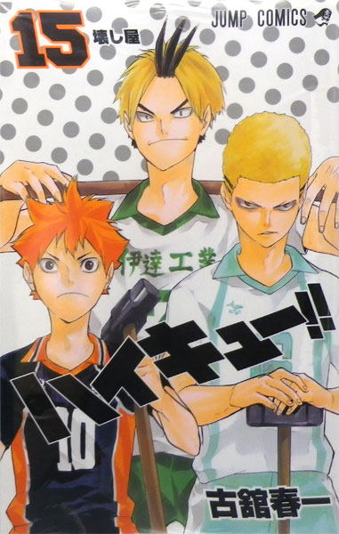 Haikyuu!! 15 (BOOK)