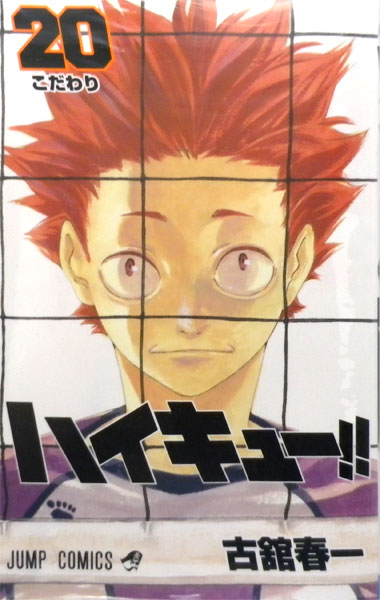 Haikyuu!! 20 (BOOK)