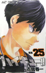 Haikyuu!! 25 (BOOK)