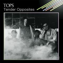 Tender Opposites [10th Anniversary Cloudy Blue Vinyl] (LP)