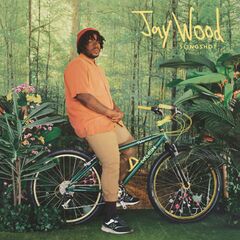 Slingshot (CD)