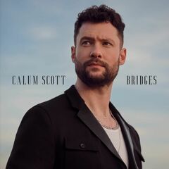 Bridges (LP)