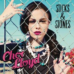 Sticks & Stones (CD)
