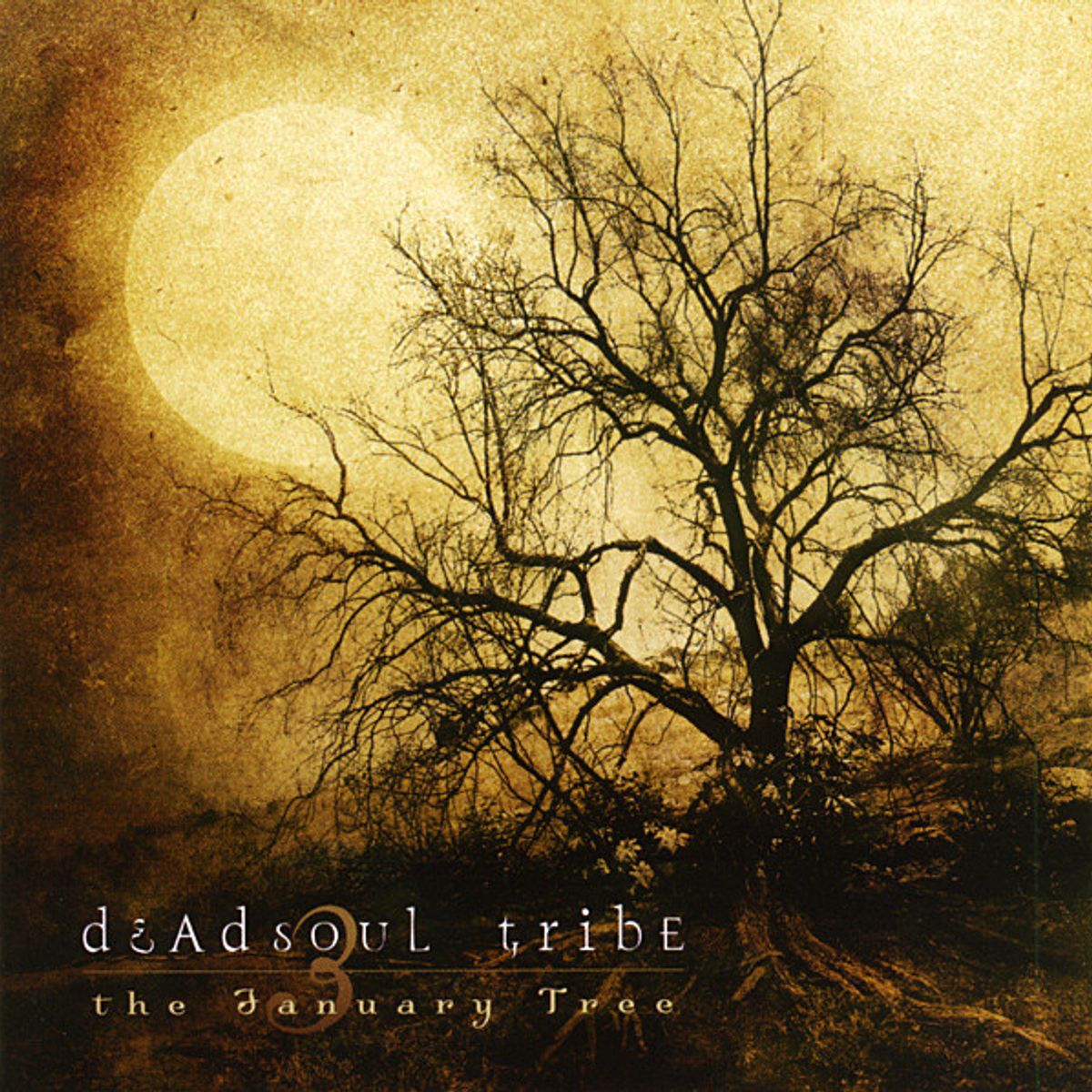 The January Tree [Import] (CD)
