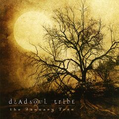 The January Tree [Import] (CD)