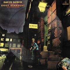 The Rise & Fall Of Ziggy Stardust & The Spiders From Mars [Picture Disc] (LP)