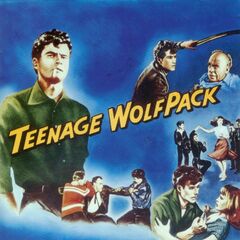 Teenage Wolfpack (CD)