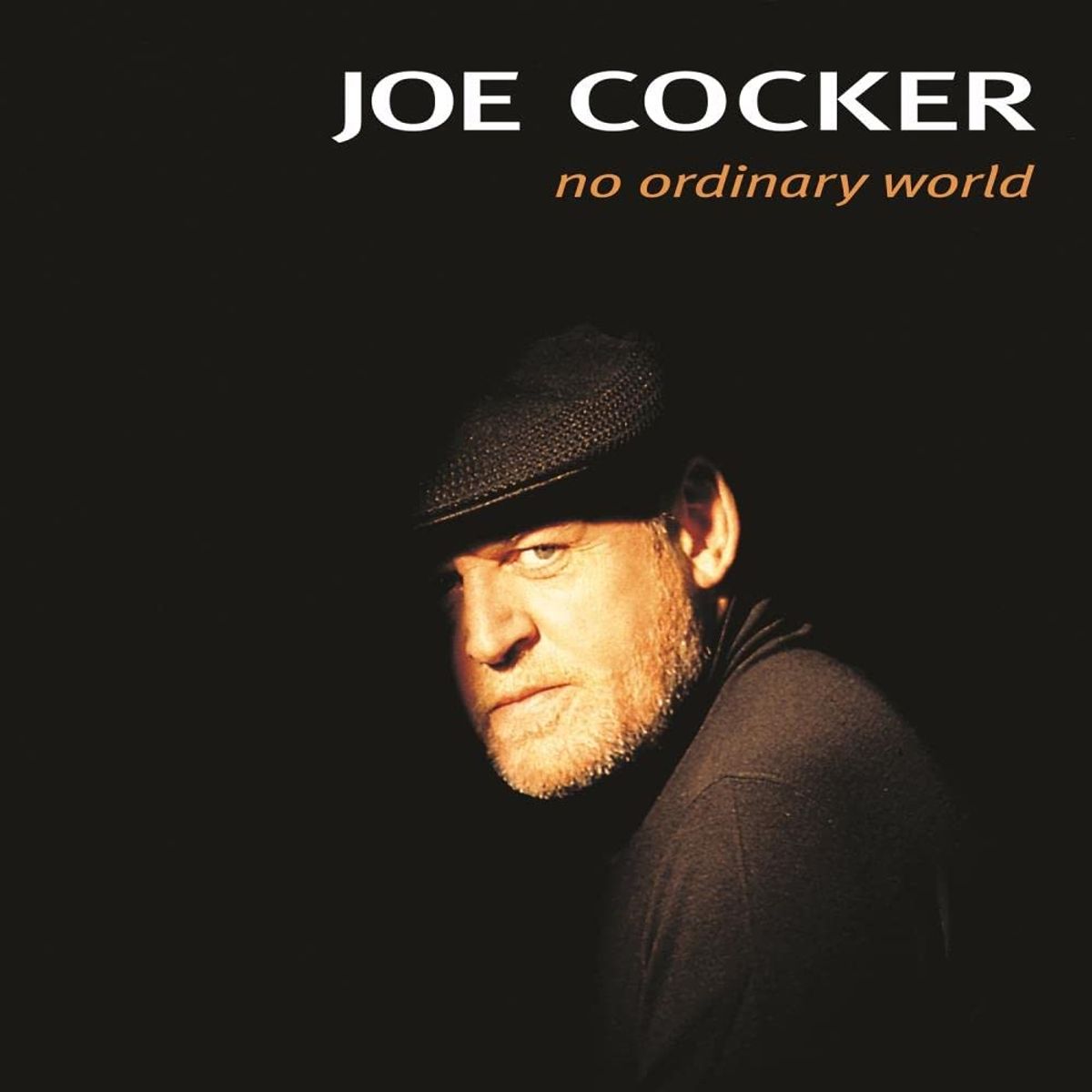 No Ordinary World (LP)
