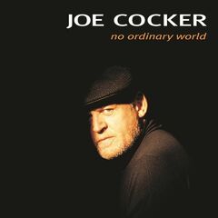 No Ordinary World (LP)