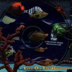 Life On The Bottom (CD)