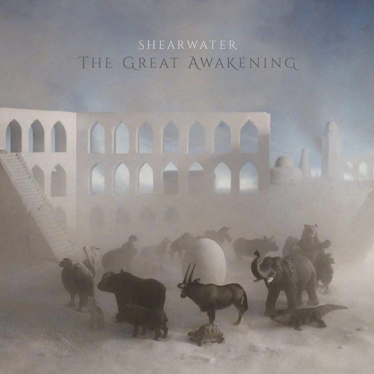 The Great Awakening (LP)