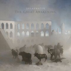 The Great Awakening (LP)