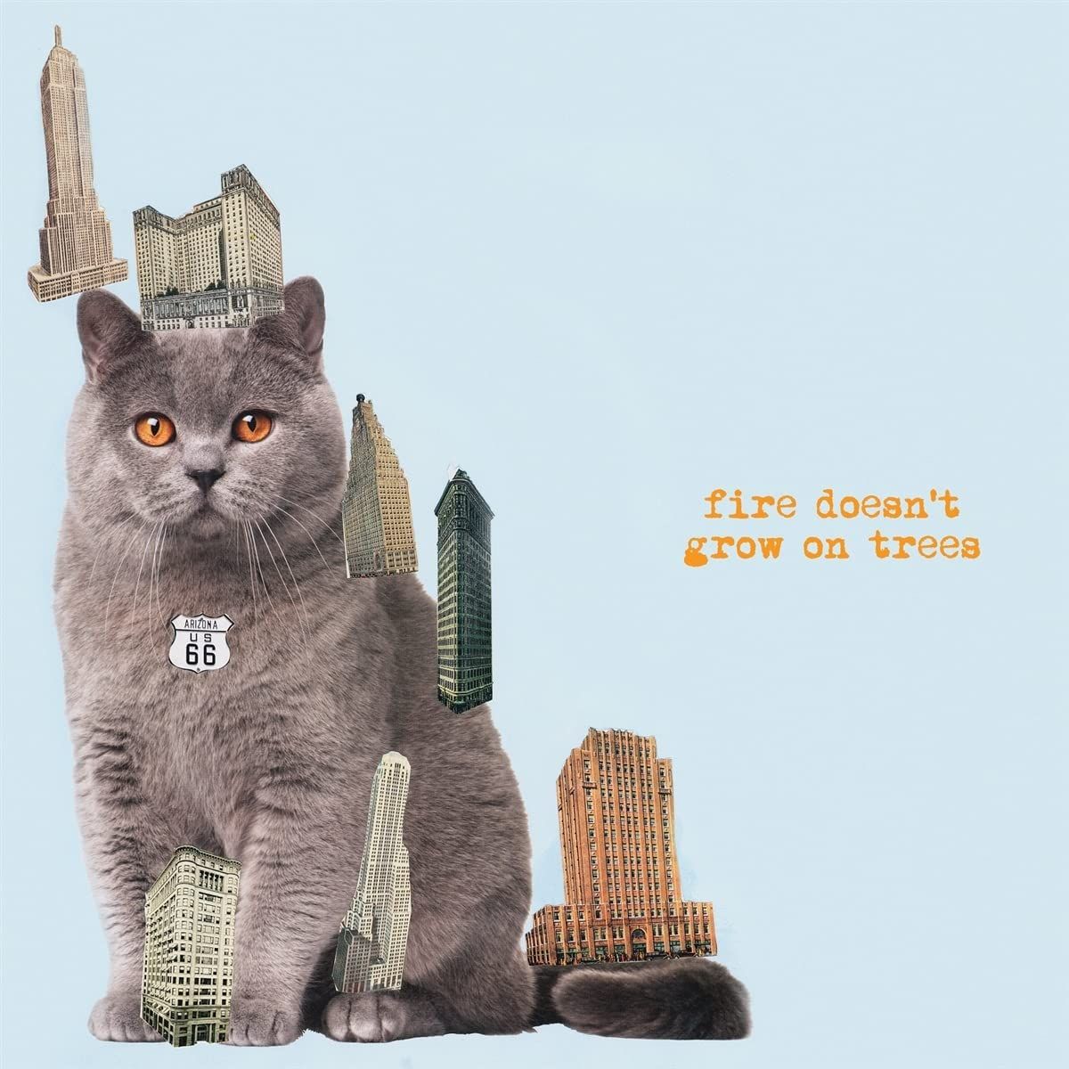 Fire Doesnt Grow On Trees (CD)