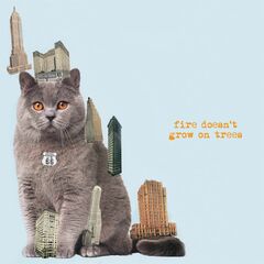 Fire Doesn't Grow On Trees (CD)