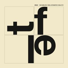 Crumbling The Antiseptic Beauty (CD)