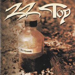 Rhythmeen (CD)