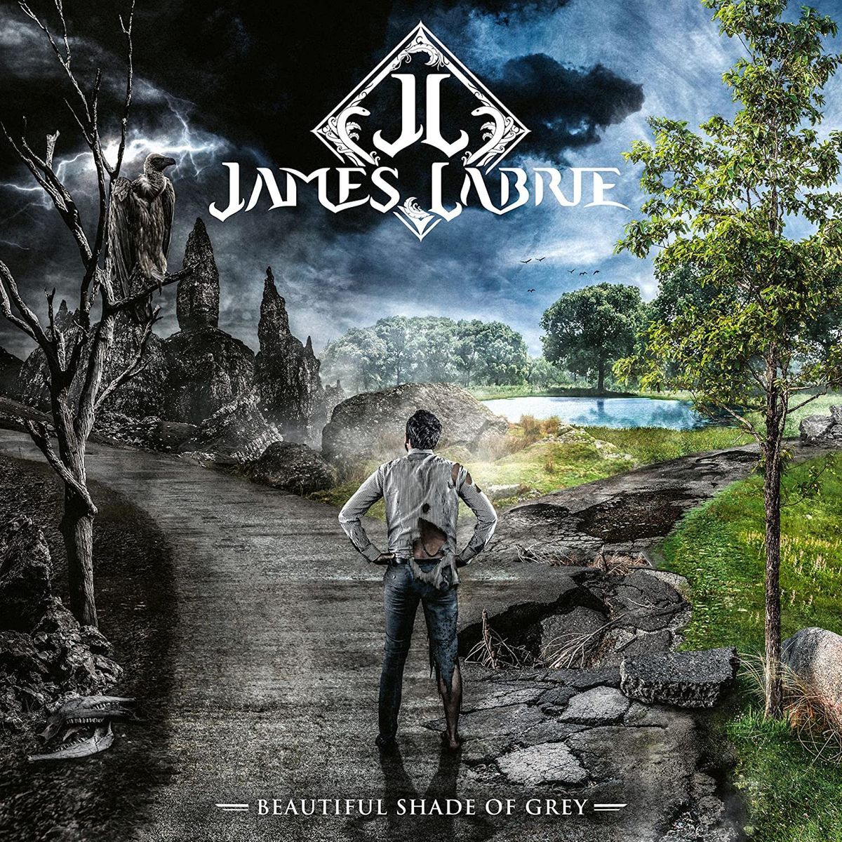 Beautiful Shade Of Grey (LP)