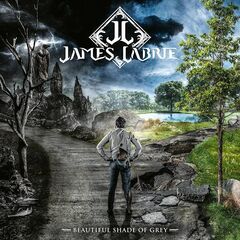 Beautiful Shade Of Grey (LP)