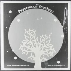 The Papermoon Sessions: Live At Roadburn 2014 [German Issue] (LP)