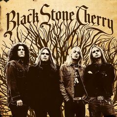 Black Stone Cherry [180 Gram Vinyl] (LP)