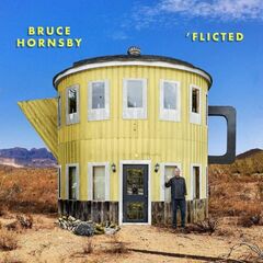 'Flicted (LP)