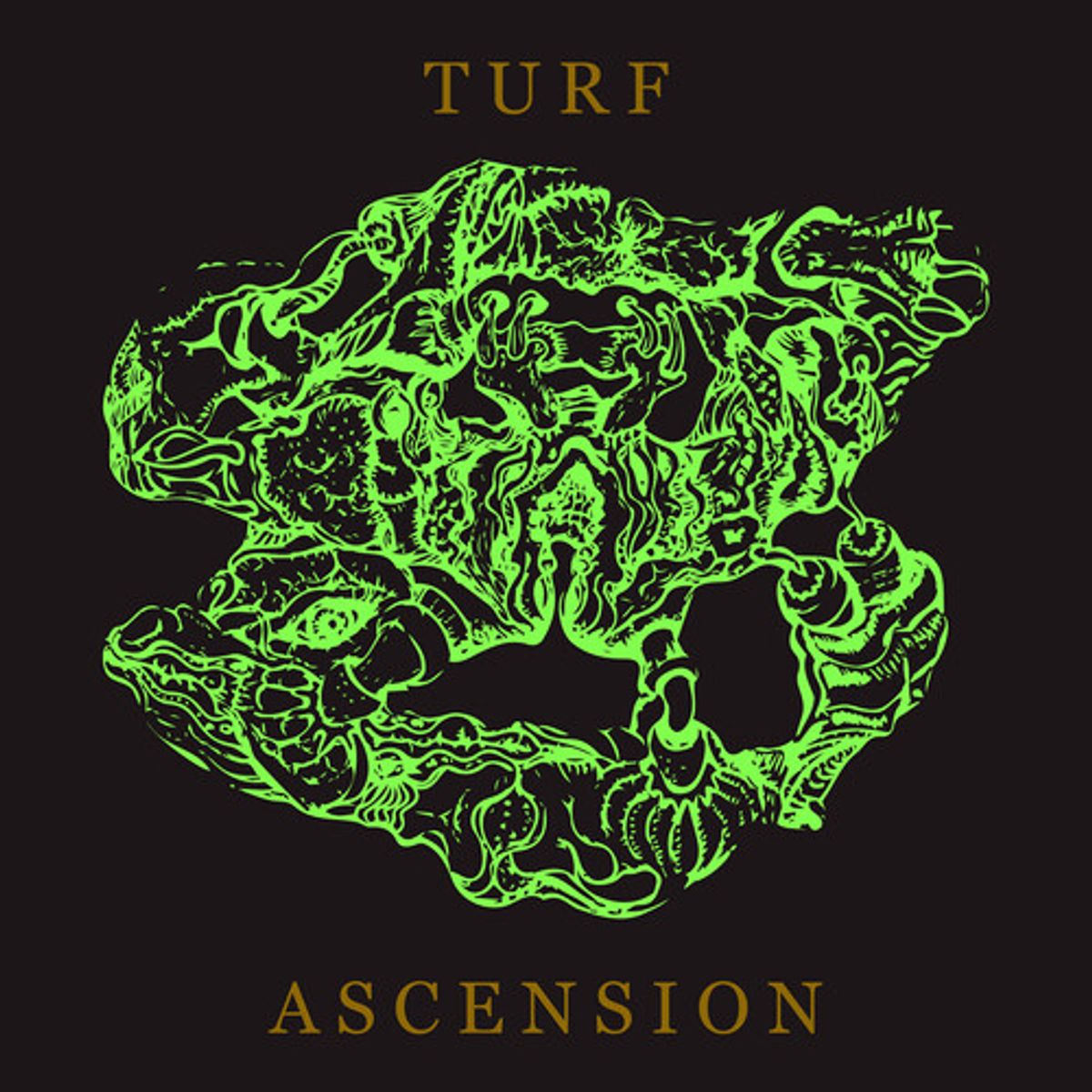 Turf Ascension (CD)