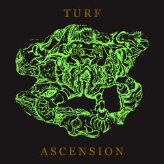 Turf Ascension (CD)