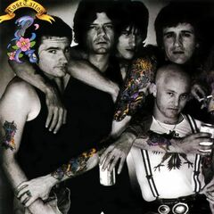 Assault & Battery [Purple Vinyl] (LP)