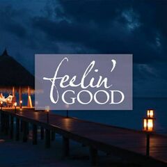 The Power Of Love: Feelin' Good (CD)