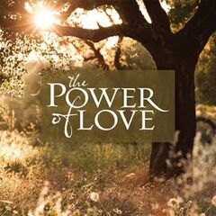 The Power Of Love: Never Gonna Let You Go (CD)