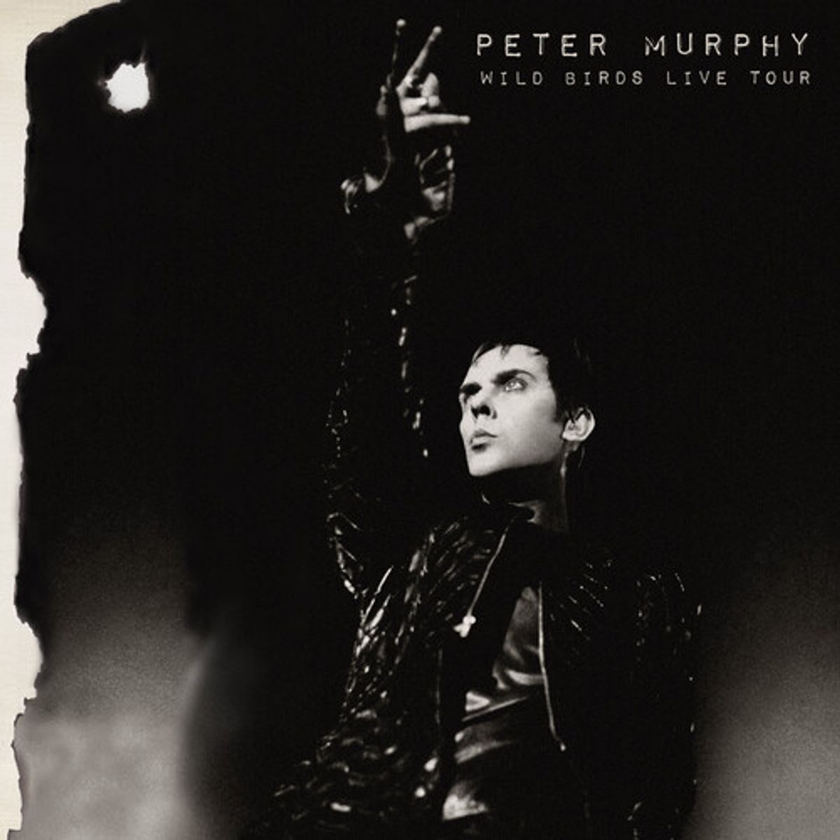 Wild Birds Live Tour [Purple & Black Vinyl] (LP)