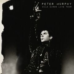 Wild Birds Live Tour [Purple & Black Vinyl] (LP)