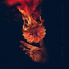 Eulogies (LP)