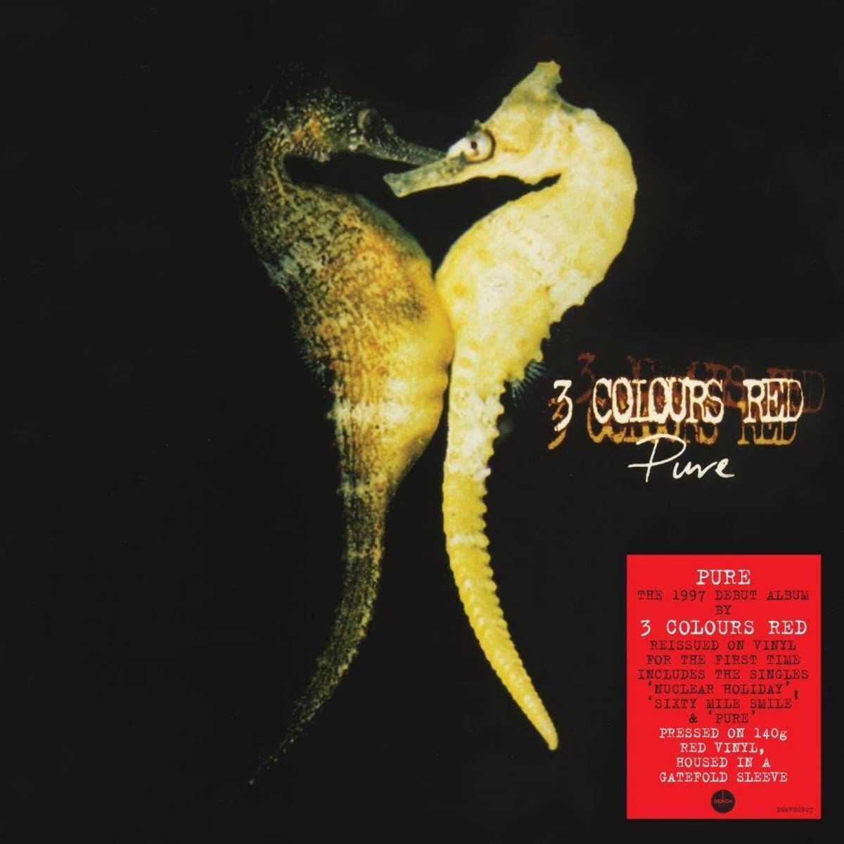 Pure [Red Vinyl] (LP)