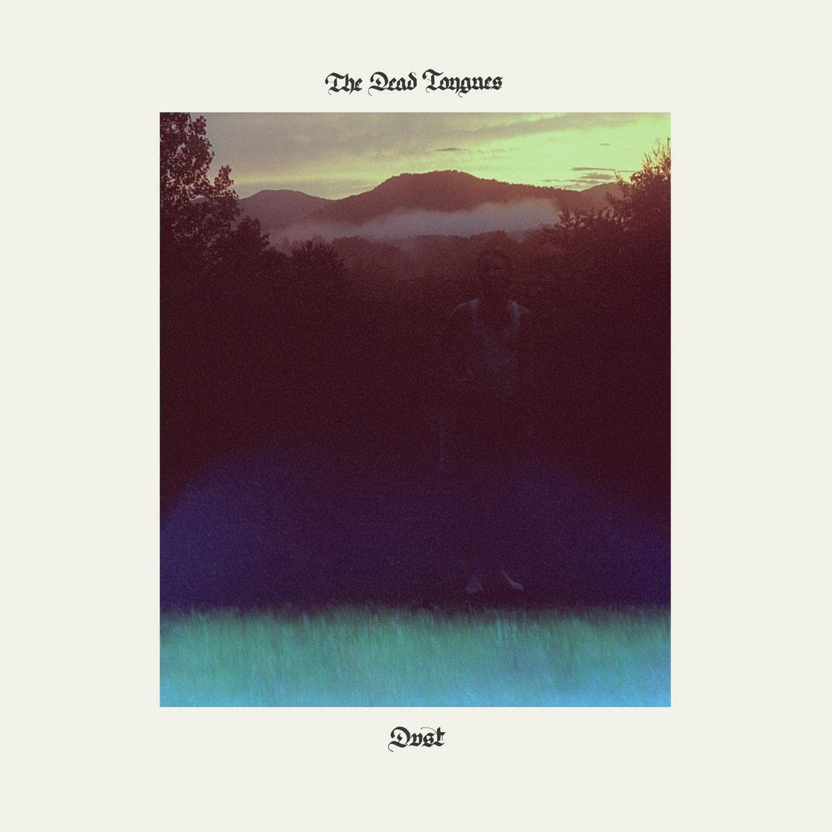 Dust (LP)