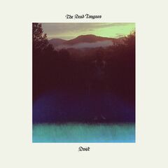 Dust (LP)