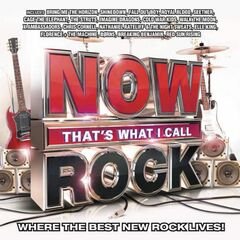 Now That's What I Call Rock (CD)